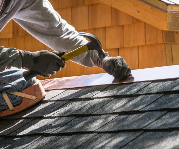 Best Roof Gutter Cleaning  in Greenfield, MN